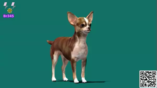 CHILIHUAHUA Gameplay