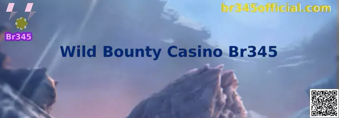Wild Bounty Casino Br345